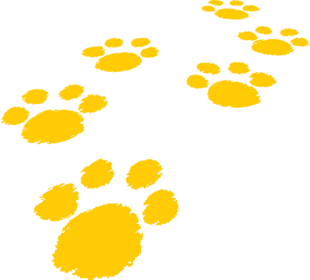 Patas